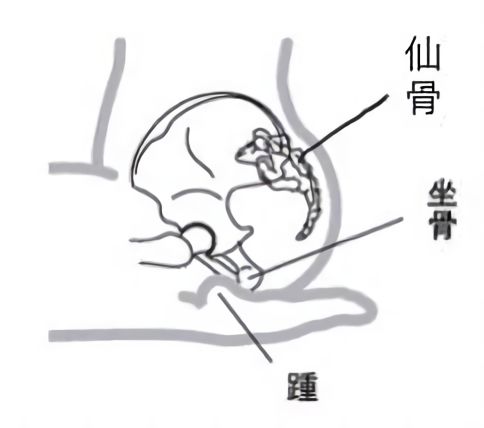 正座クッション 正座用椅子２個セット 折りたたみ椅子 習い事 椅子 持ち運び 軽量 コンパクト : ナチュラルライフシロクマ - 通販 -Yahoo!ショッピング