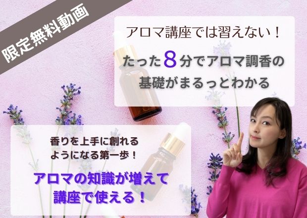 キャンパスルーズリーフコクヨ ステーショナリ