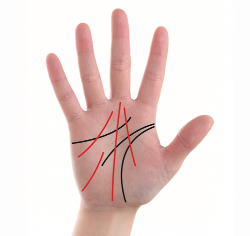 手相の占いのやり方を解説ー女性特有の見方はある？右手と左手どっちを見るの？ストアカ公式note