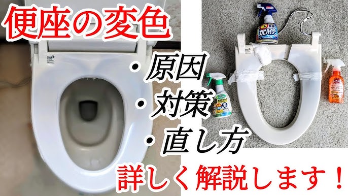 Amazon.co.jp: ラグロン トイレ尿石黄ばみとりGEL 280ml : ドラッグストア