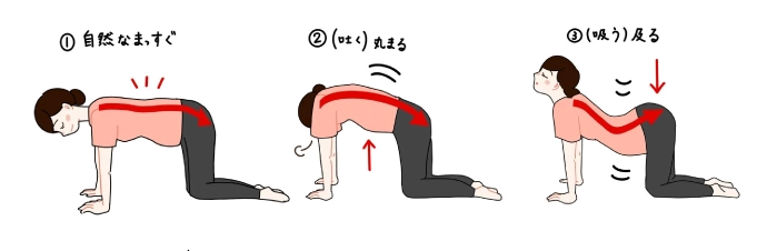 いつからできる？ 臨月までできるマタニティヨガやさしいポーズMama Yell