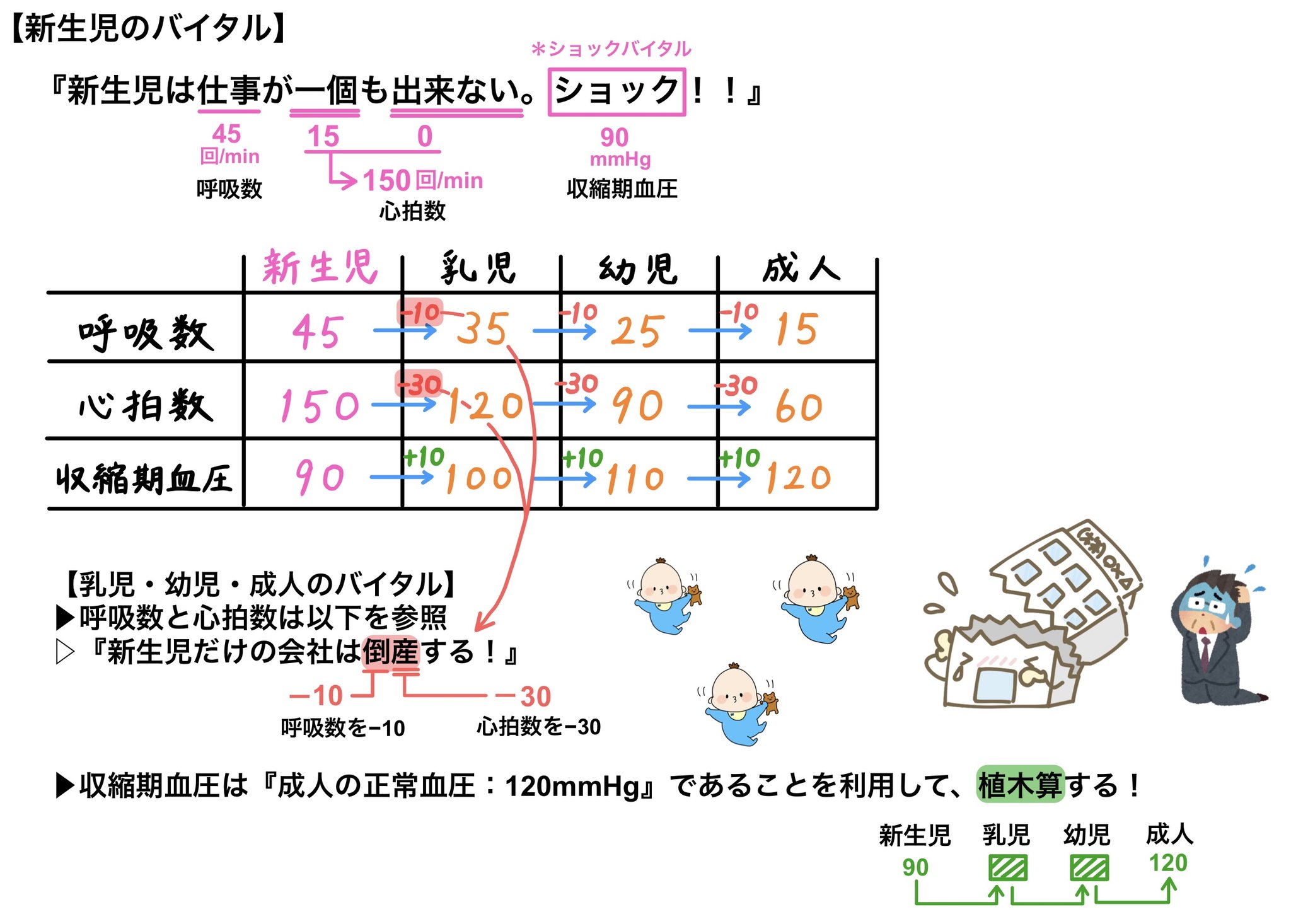 楽天市場 新生児フィジカルアセスメントの通販