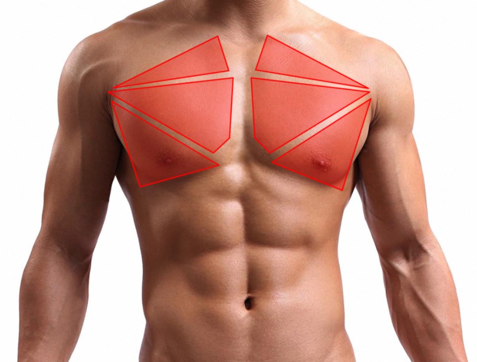 短時間でバストアップ！ 夏のTシャツをかっこよく着こなす「大胸筋エクササイズ」２選ダイエット、フィットネス、ヘルスケアのことならFYTTE-フィッテ