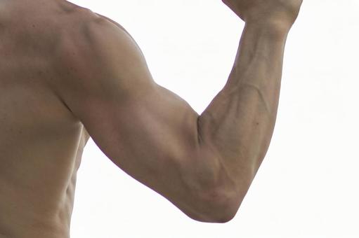 マッチョでもわかるBlender～四本腕のマッチョ～Kioshiki Kageji