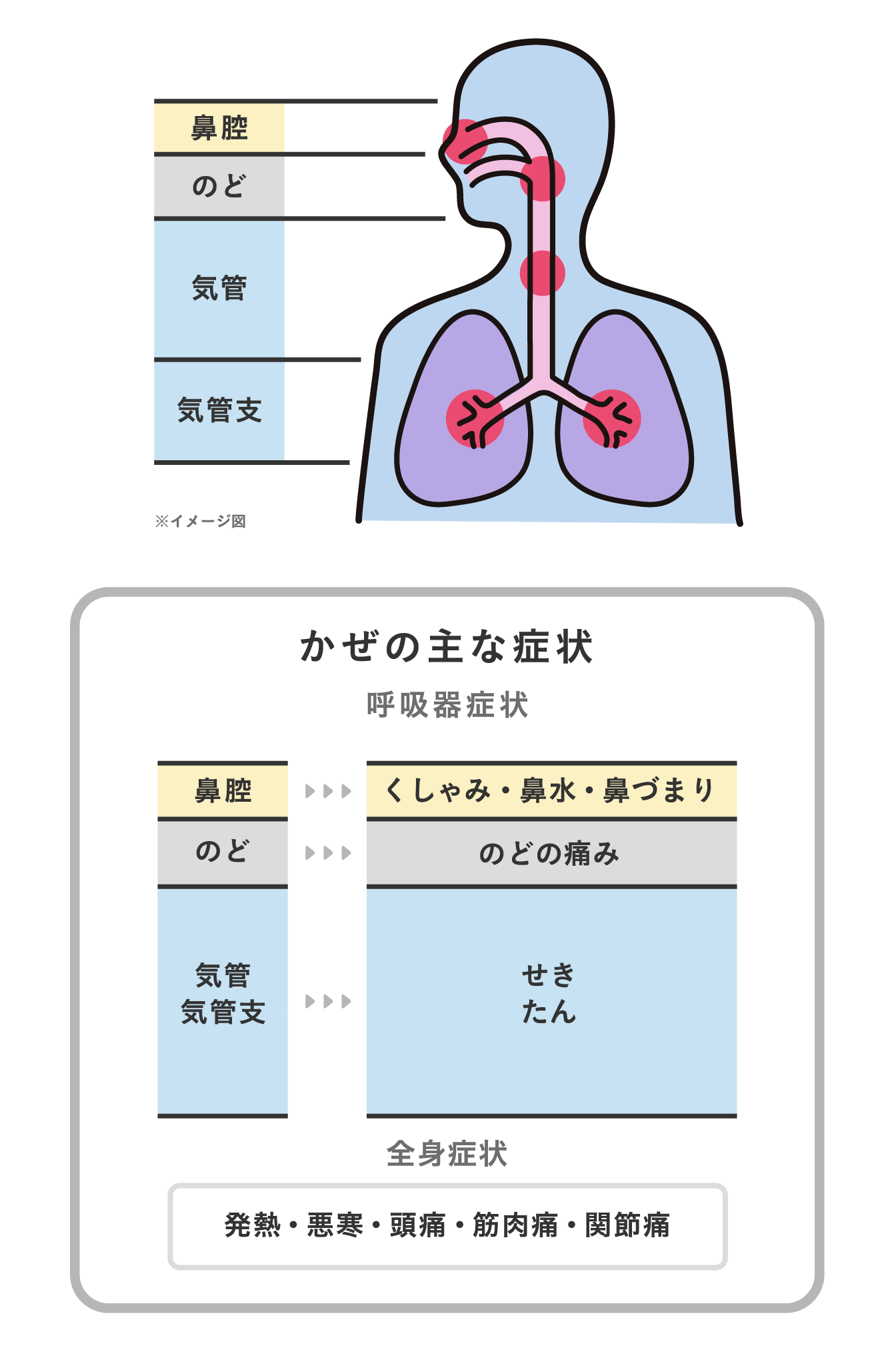 新型コロナ、変異ウイルス「ニンバス」流行拡大 強烈な喉の痛み - 日本経済新聞