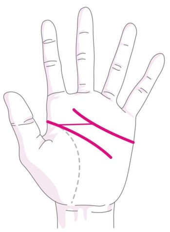 珍しい手相はこれ！ ますかけ線や十字など珍しい出方をチェック 手相占いOggi.jp