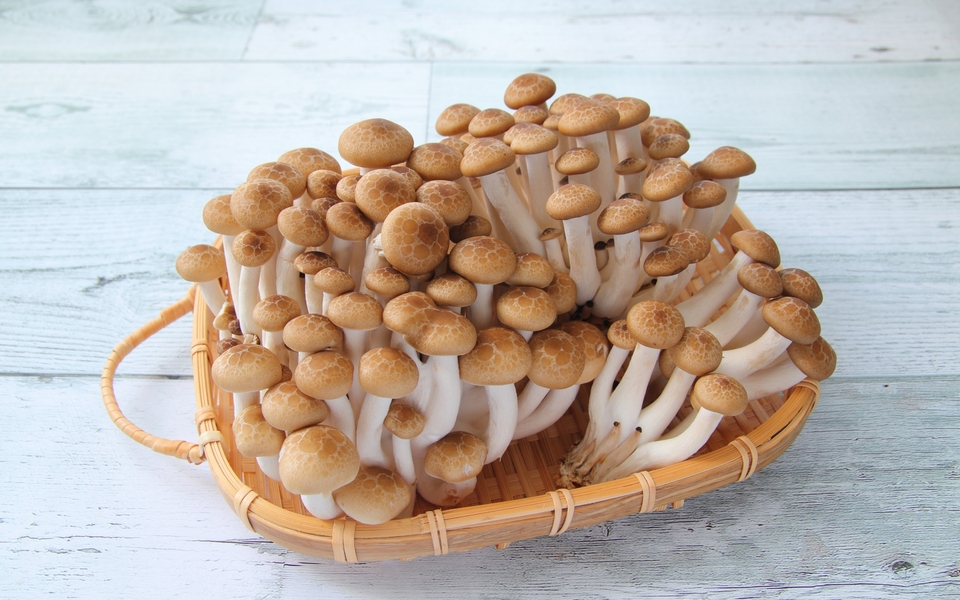 きのこは健康によい？多くのきのこに含まれる5つの栄養素、期待される効果なども解説 - ひろのポータルサイト岩手県洋野町のポータルサイトです