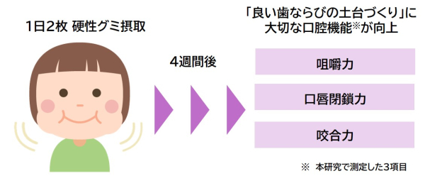全国「噛む力」調査。「噛む力」が最も高いのは秋田県！ランキング上位都道府県の共通点は“ガム” ！47都道府県毎に20代～60代の男女100名ずつを対象とした、全国「噛む力」調査を実施いたしました。株式会社ロッテのプレスリリース