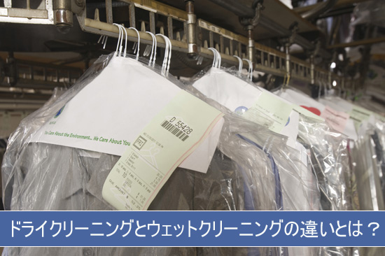 クッションはお家で洗濯できる？クッションの洗濯方法を解説AQUA