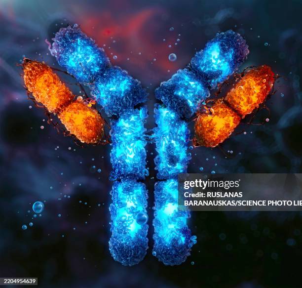 無料のモノクローナル抗体イラスト素材PNG・フリー 画像 - Pngtree