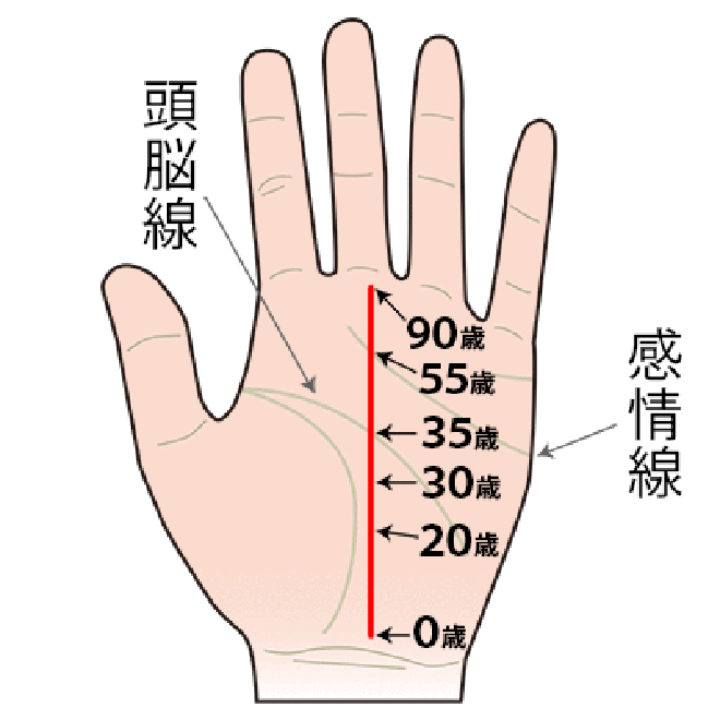 手相の結婚線で結婚する年齢が分かる？ない場合は？結婚に関する手相14選！占いガール