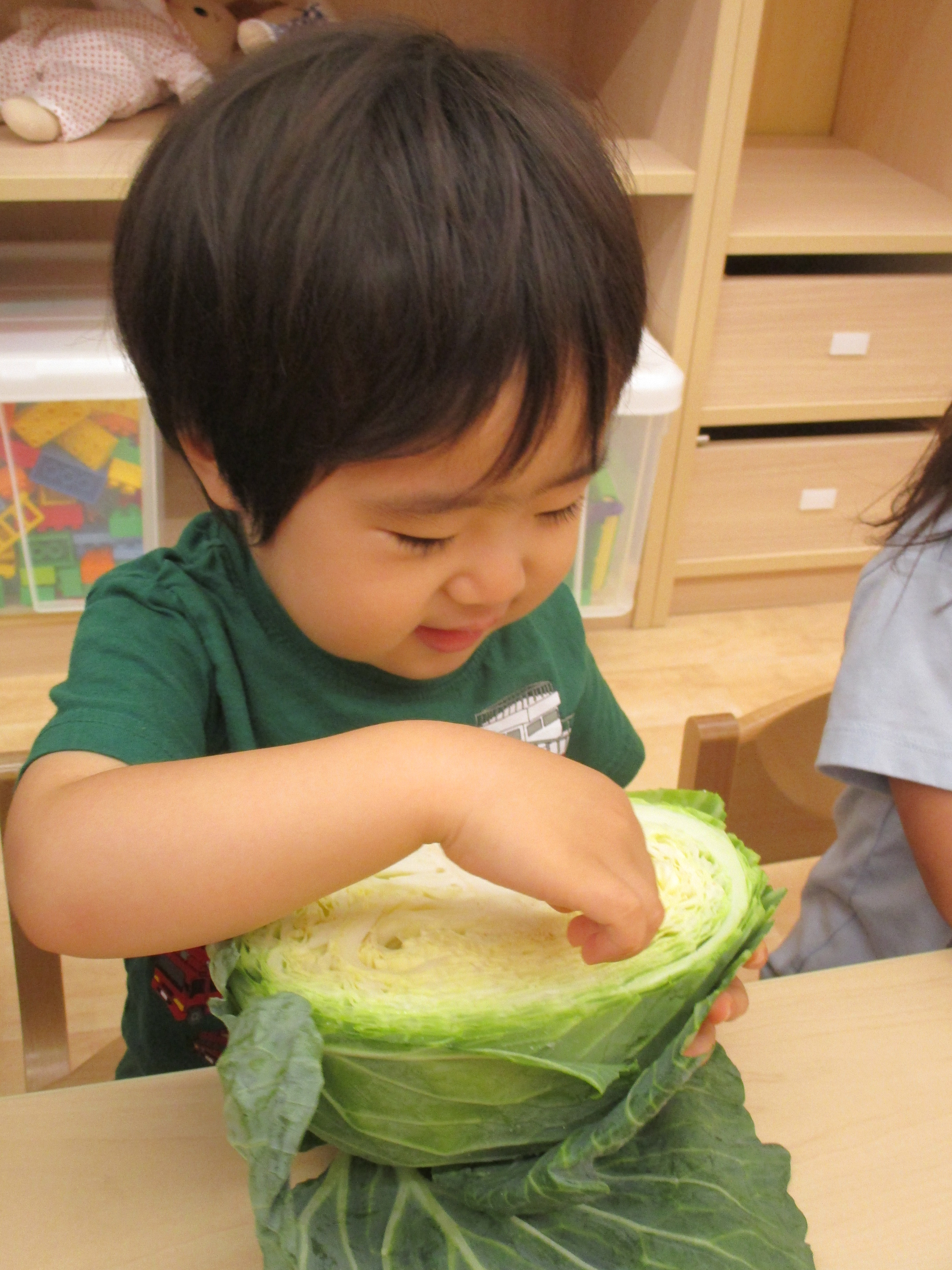 野菜 果物 断面カード③ 理科 お受験 療育 知育 脳トレ おもちゃ・人形 may 知育学習教材、オーダーOK 通販17208378Creema クリーマ