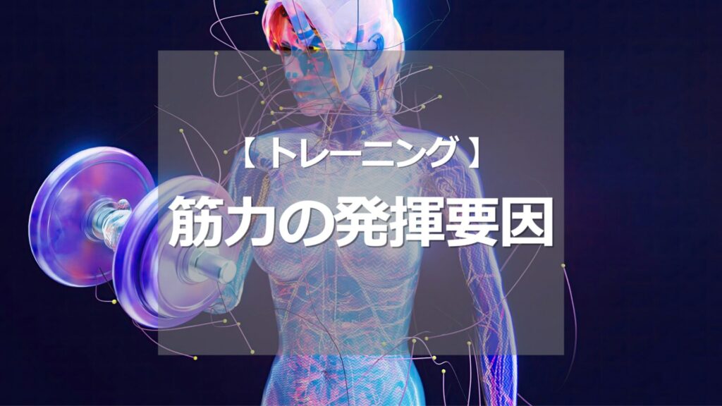 楽天市場 DOMYOS ドミオス 筋力トレーニング Tシャツ スリム シームレス 900 メンズ : デカトロン公式 楽天市場店