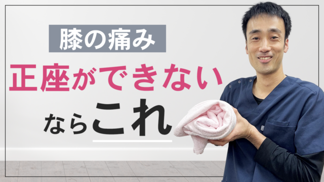☆ 快適正座クッション 正座椅子 かわいい しびれない クッション 正座いす 正座 正座イス 用 椅子 スツール 丸 お昼寝 枕 お稽古 低反発 -メルカリ