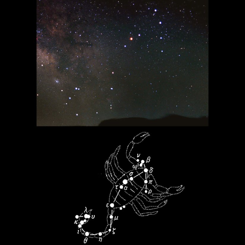 夏の星座 －その２－ さそり座星空の楽しみ方