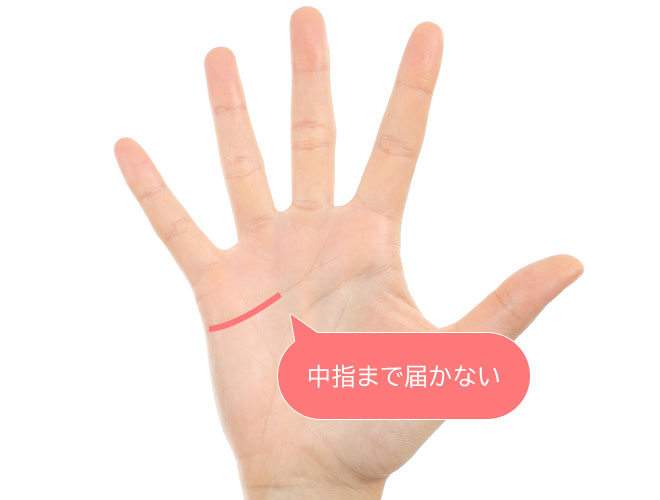 感情線とは？ 基本の意味と種類別の見方手相占い 「マイナビウーマン」