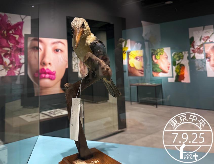 映画『SNS-少女たちの10日間-』オフィシャルサイト