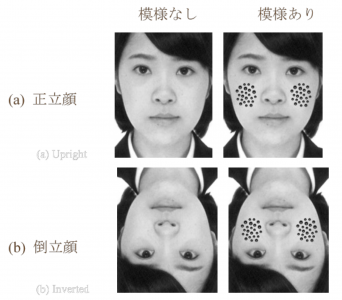 蓮コラ面 - 顔屋の八八 - BOOTH