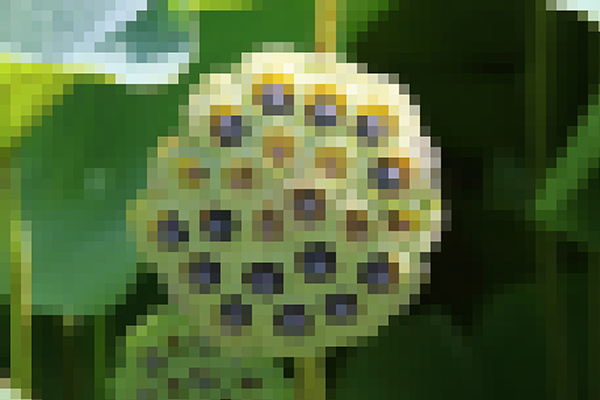 あんスタ」蓮コラなど不適切画像を拡散した悪質行為者にハピエレが法的対応「動いてくれて嬉しい」 - 女性向けアニメ情報サイトにじめん