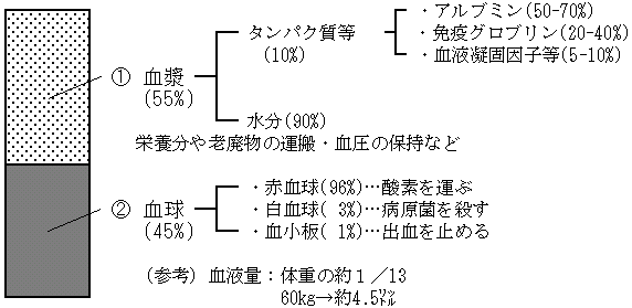 血液成分の種類とその働き 3. 血液成分の性状と働き JBスクエア 日本血液製剤機構 医療関係者向け情報