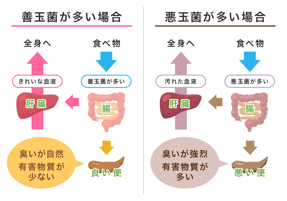 徹底比較 加齢臭・体臭予防ボディソープのおすすめ人気ランキング 2025年10月マイベスト