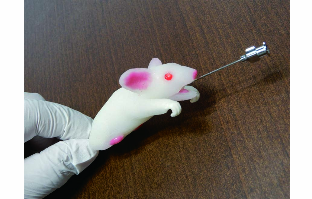 科学探究Ⅱ〜薬学部〜武庫川女子大学附属中学校高等学校