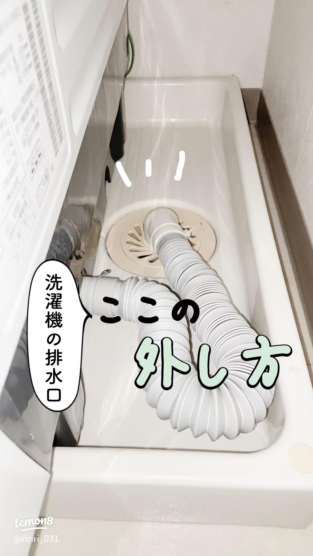 洗濯 ホース 洗濯機 掃除 洗濯槽 洗剤 防カビ 消臭 排水口 ぬめり取り パイプ洗浄剤 天然由来 バイオ洗剤 洗濯機のホースお掃除セットウッディラボ 公式