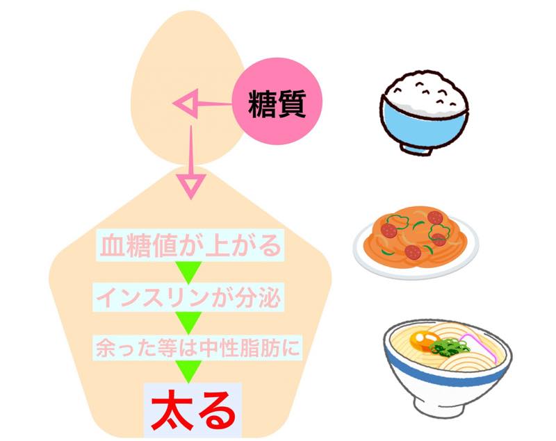 自宅でできるライザップ 食事編RIZAP 本通販Amazon