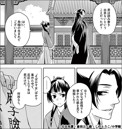 薬屋のひとりごと 10巻 評論 ネタバレ注意-AQM