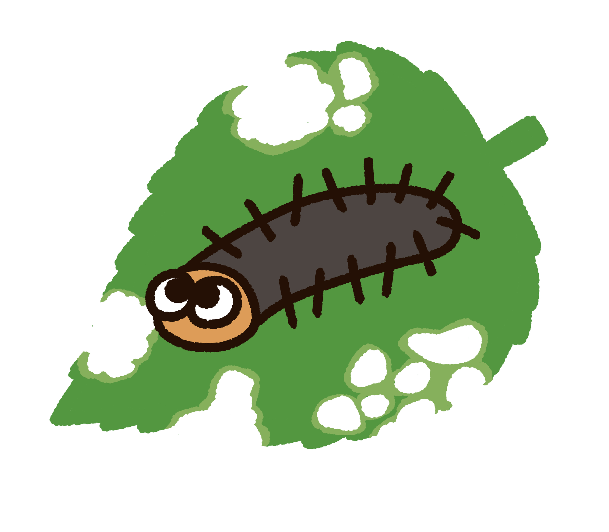 毛虫皮膚炎急増中！京都の皮膚科なら丸太町駅近くからすま丸太町皮フ科クリニック