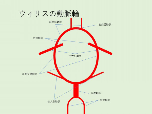 山の勉強会 ＥＴＲＴ・１５ＹＭ