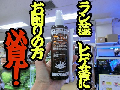 緑髭苔の原因と対策・除去方法や食べる生体 魚 を徹底解説アクアリウムを楽しもう
