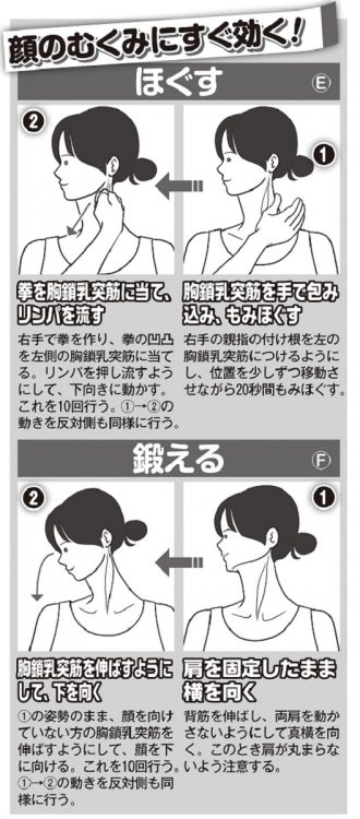 胸鎖乳突筋のはり治療 加古川市はり灸ガルボのアメブロ