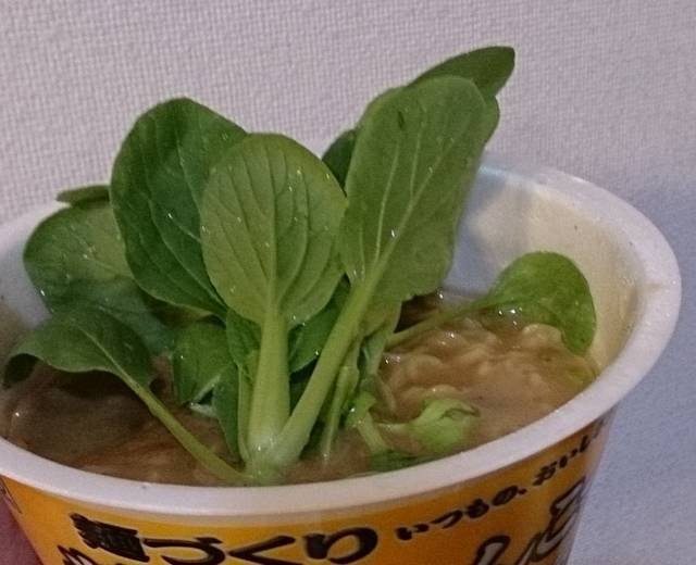 チンゲンサイ 青梗菜 の育て方と栽培のコツやまむファーム