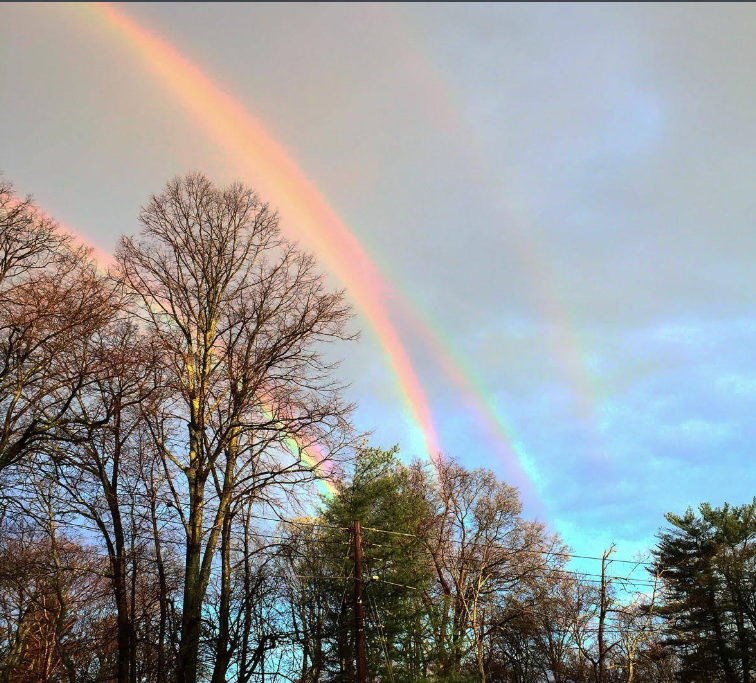 彩虹色- 维基百科，自由的百科全书