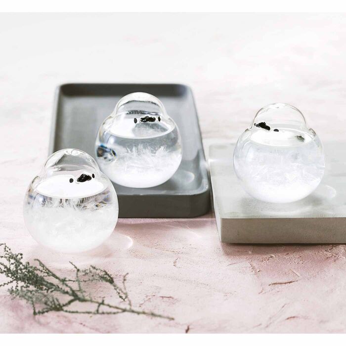 ストームグラスの見方とは。19世紀の天気予報グッズと眺める空模様ZOOM LIFE