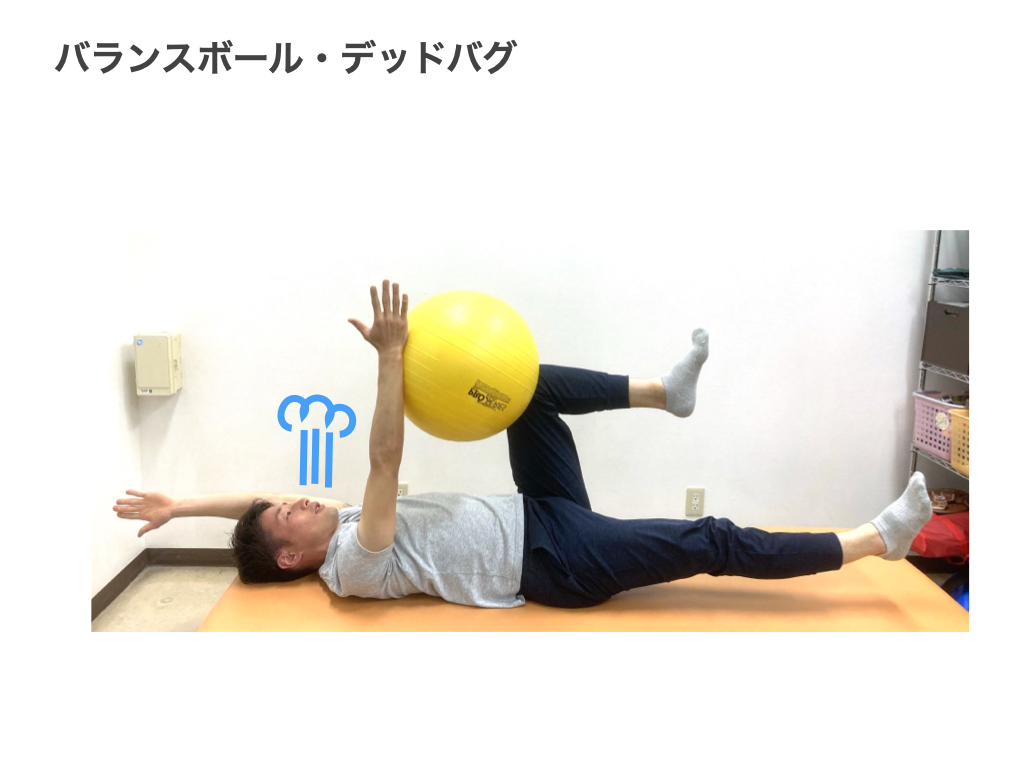 バランスボールエクササイズのご紹介しました！, 簡単そうに見えて難しい😓ながらトレーニングにもおすすめなバランスボール！, ぜひお試しを🥰,次回はバランスボールのチャレンジ動画です！お楽しみに🌱🌱, 参考になったらいいね、保存、フォローよろしくお願いします😳,ダイエット ワークアウト 10分でもいい,筋トレ初心者 ボディビル トレーニング,エニタイム エニタイムフィットネス