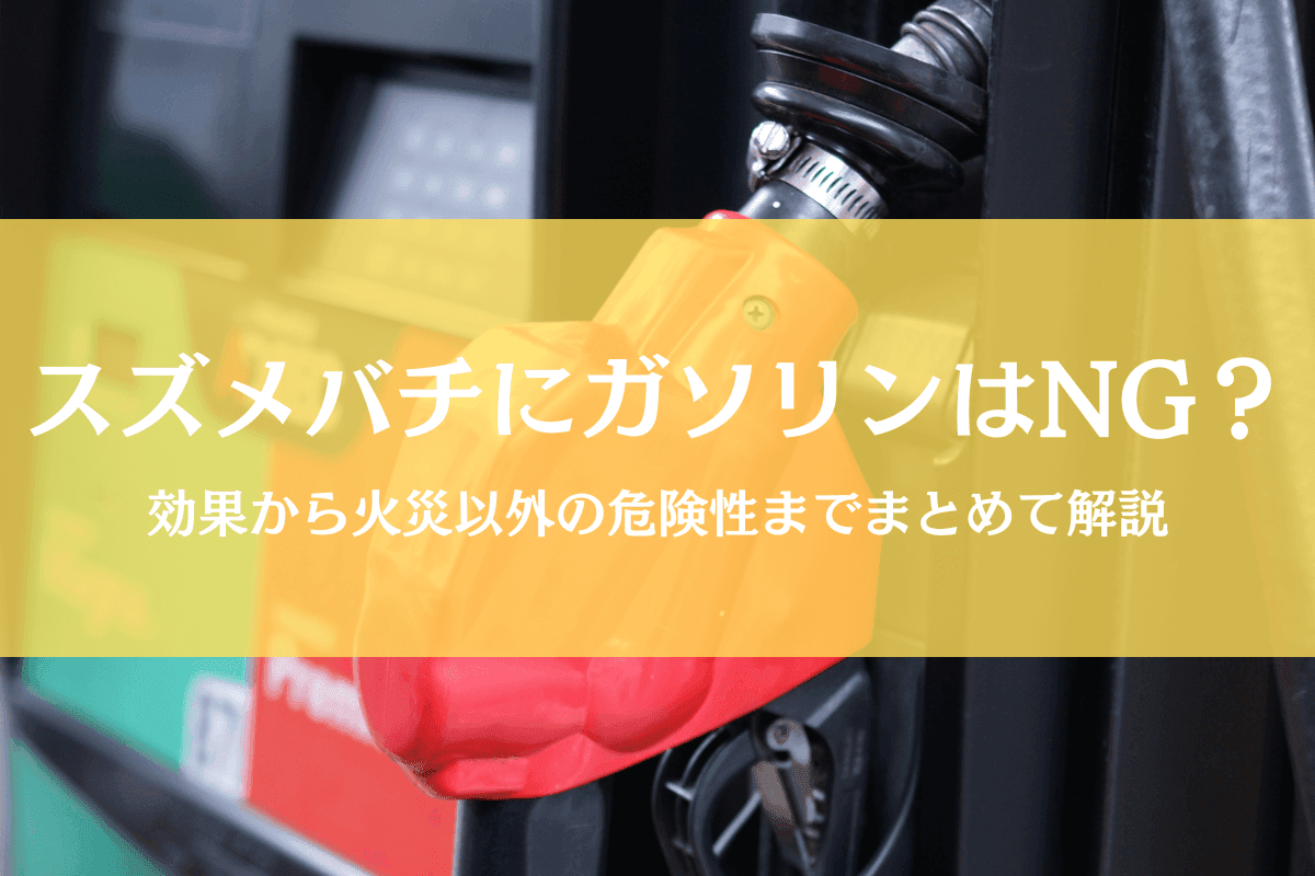 蜂の駆除にガソリンが効くって？リスクが高すぎてお勧めできないけど効果を検証蜂バスタ