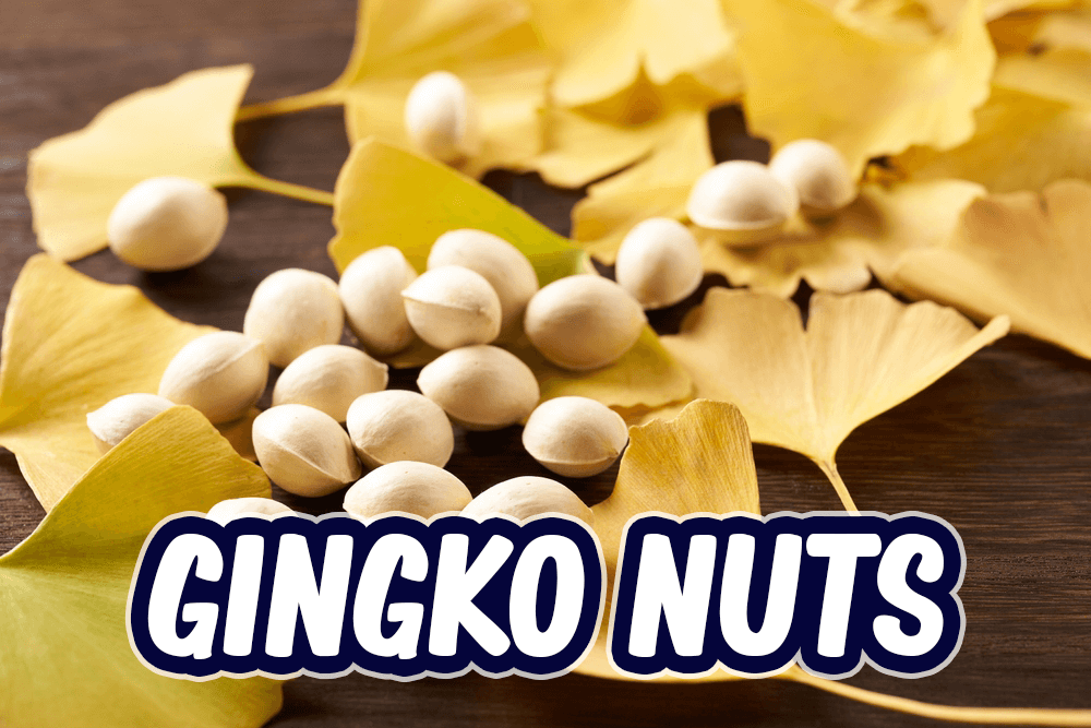 金 カネ のにおい」？銀杏名人はスキーと温泉の郷に農畜産物長野県のおいしい食べ方