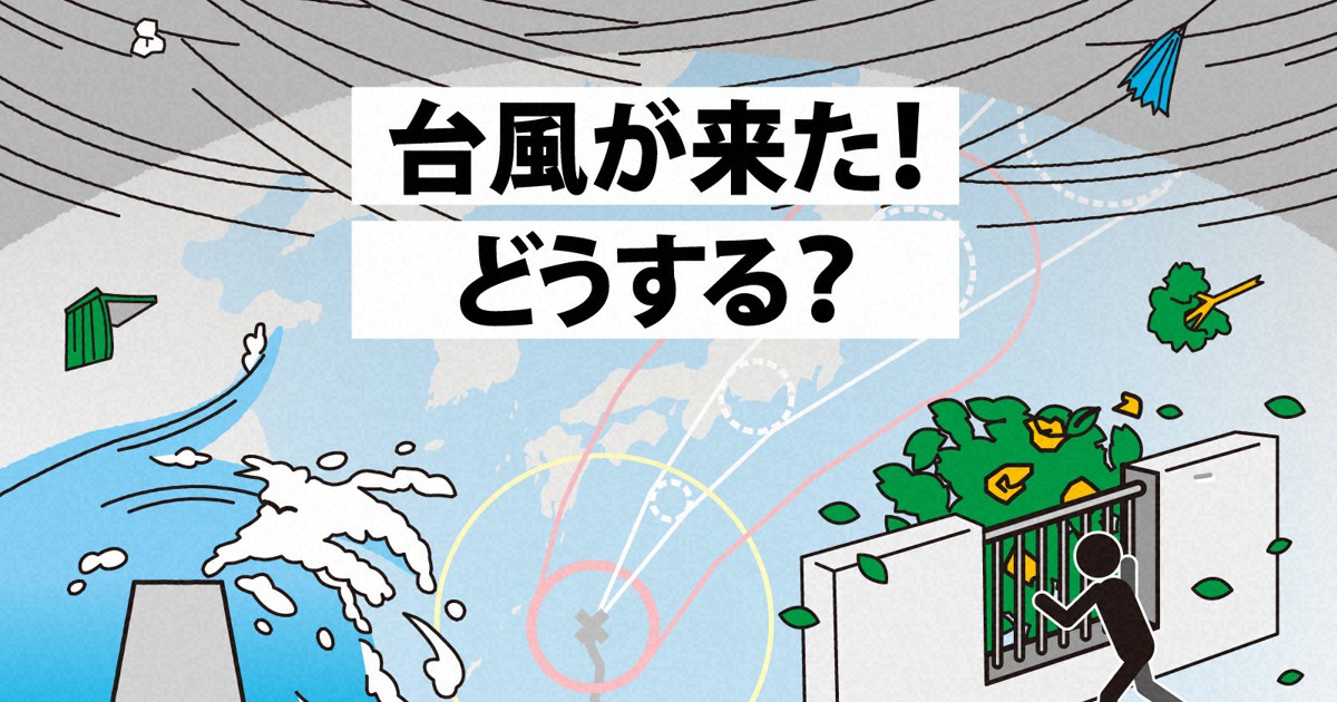 社会 「台風」について小学生まなび研究会