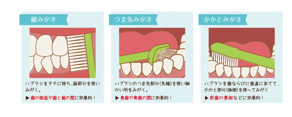 歯磨きのやり方 強さ 指導イラスト ひらがな解説つき モノクロ のイラスト素材79387335- PIXTA