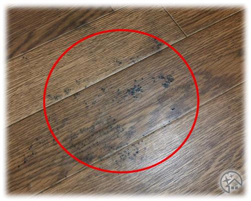 床のカビはなぜ発生するの？発生したときの補修方法リフォーム・修理なら リフォマ