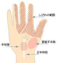 akiko@大阪♪被写体 on X: 