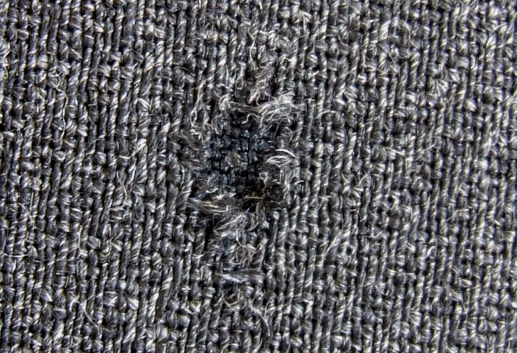 服の虫食い予防・対策！ウール素材などの衣替え時に行いたいお手入れのコツLidea リディアby LION