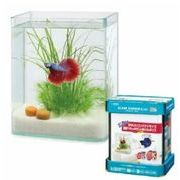 ガラス水槽 メダカ、金魚飼育セット ガラス水槽 メダカ 飼育 セット おしゃれ グラスアクアリウム 流木 ペット 金魚 熱帯魚 CYLINDER20cm テトラ ミニアクアリウム おさかな飼育セット PL-17OS テトラ ガラス水槽セット おさかな飼育セットホームセンター通販はDCM
