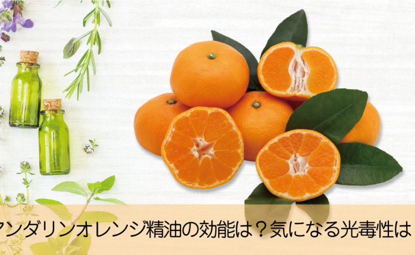 グリセリン 化粧品用 500ml 3本セット 健栄製薬 - アスクル