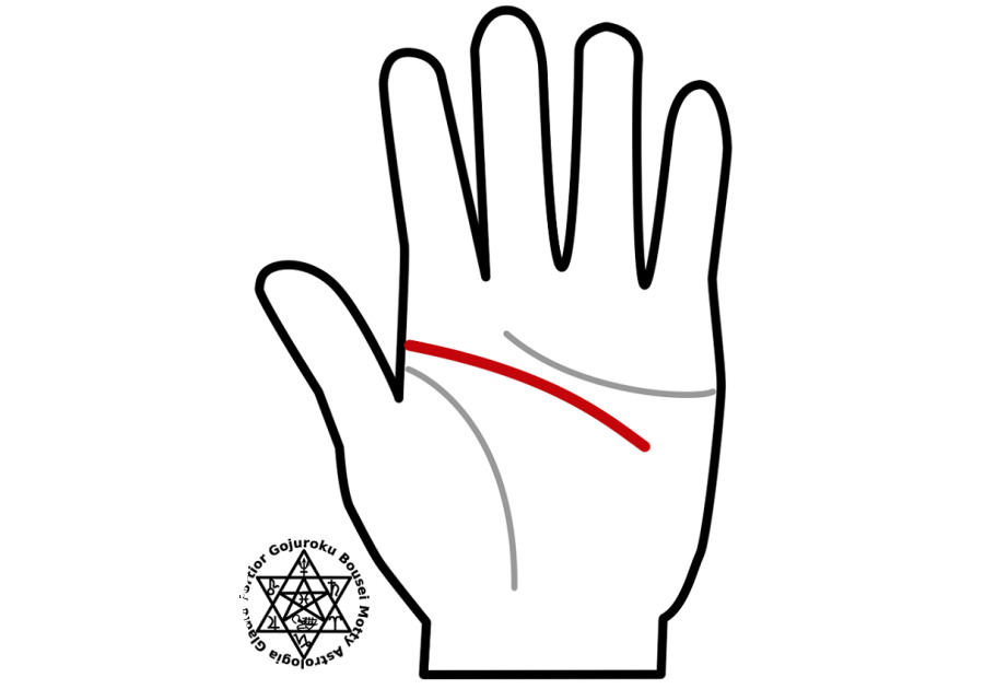 感情線」がまっすぐか曲線かで、性格がわかる！ えみ先生の手相読みkufura クフラ 小学館公式