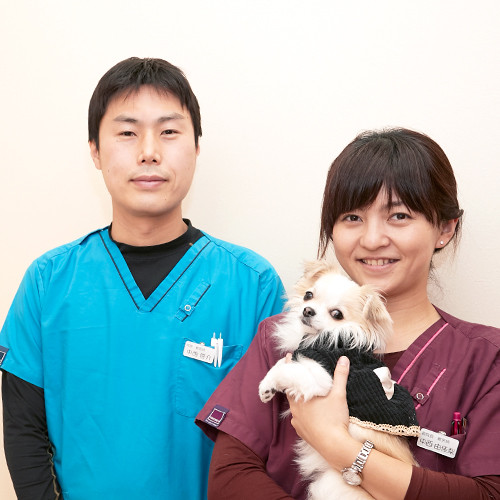 あしあと動物病院 雑司が谷駅・犬 東京ドクターズ