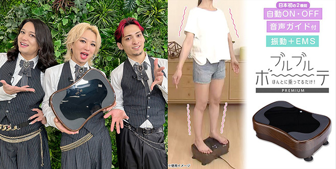 乗るだけボーテ 乗るだけで痩せる！ブルブルボーテ！美品です！日テレポシュレ
