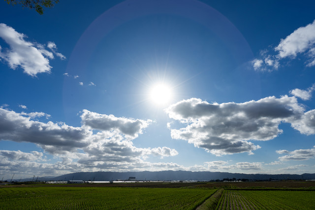 手作り日焼け止めクリームキットの販売リンガリンガソープ